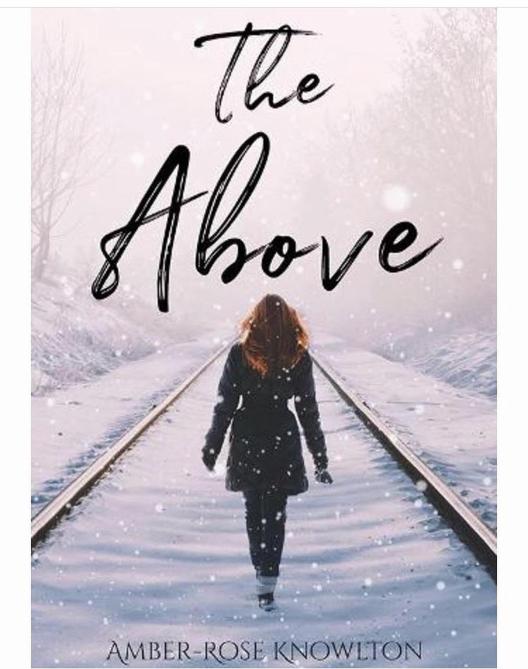 The Above - Amber's Book
