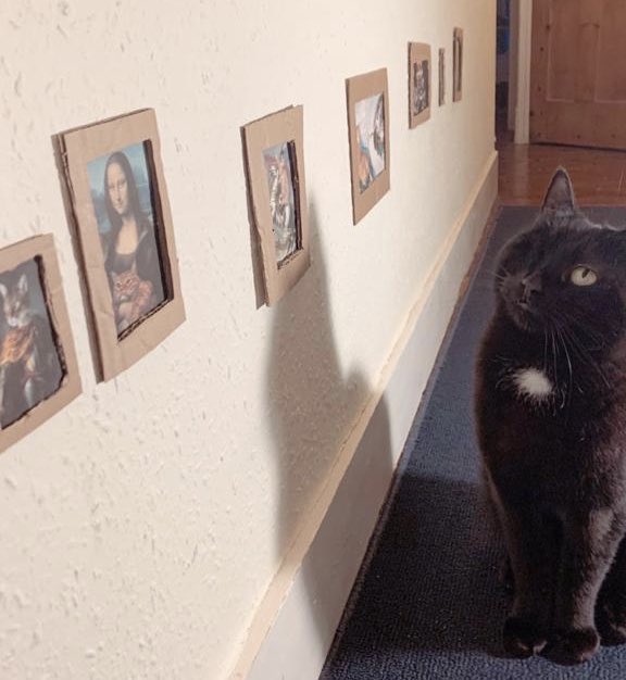 Cat Gallery