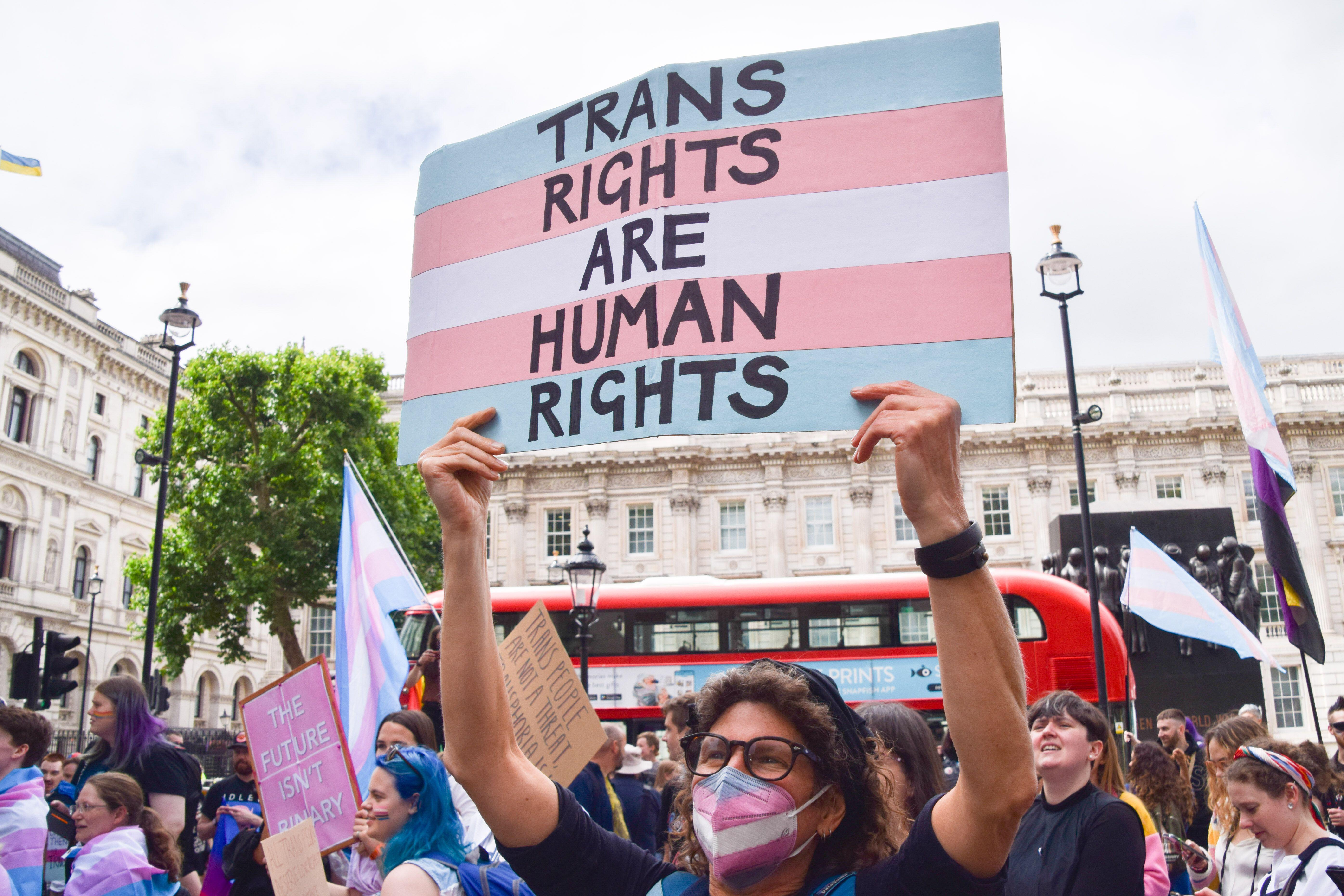 A photo of a protest with a person in the foreground holding up a large sign that reads "TRANS RIGHTS ARE HUMAN RIGHTS" in bold black letters on a pink and light blue striped background. The person is wearing a face mask and glasses, and other protestors can be seen in the background with various signs.