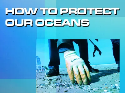 How to Protect Our Oceans_BLOG TILE