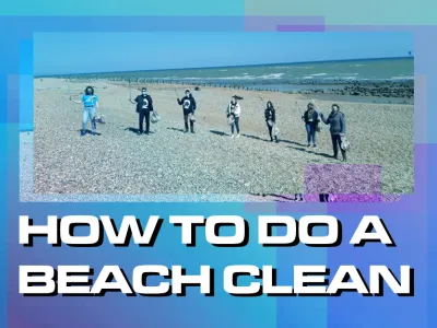 How To Do A Beach Clean-BLOG TILE