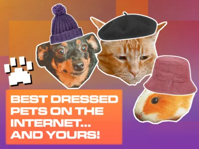BEST DRESSED PETS ON THE INTERNET...AND YOURS!_BLOG TILE