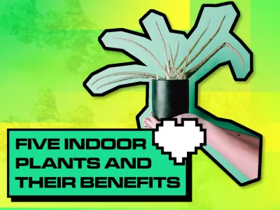 FIVE INDOOR PLANTS AND THEIR BENEFITS title