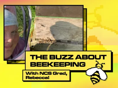 22_19_020 THE BUZZ ABOUT BEEKEEPING_BLOG TILE_V1.png