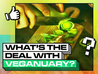 WHAT'S THE DEAL WITH VEGANUARY