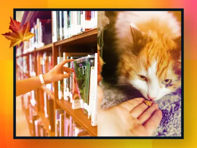 A hand stretched out feeding a cat while another hand surfs through books in a library
