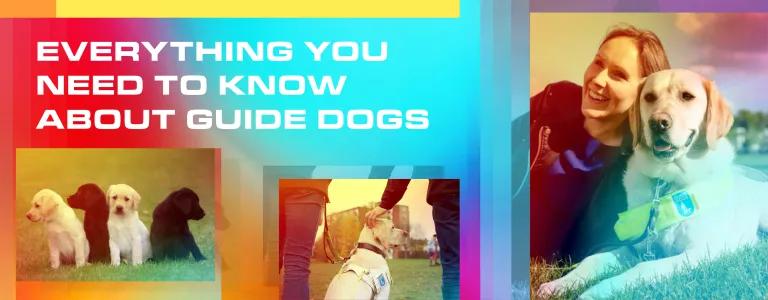 21_18_020_BLOG_SOCIAL ASSETS_Guide Dogs_Blog header